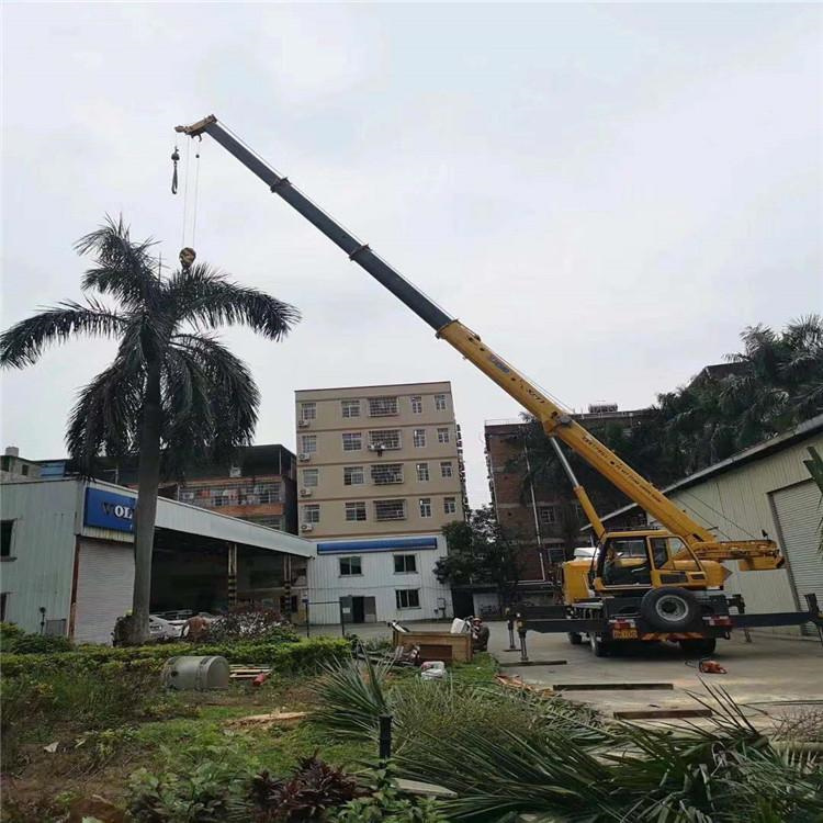 塔洋镇汽车吊出租多少钱？全面解析与市场行情